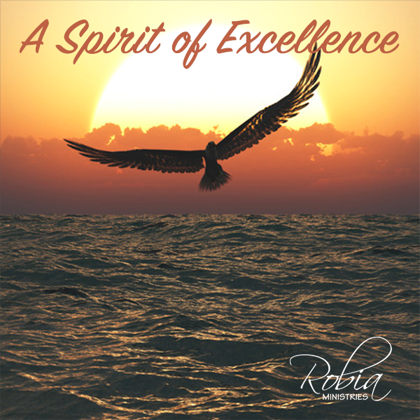 A Spirit of Excellence (MP3)